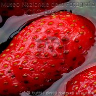 faglia2