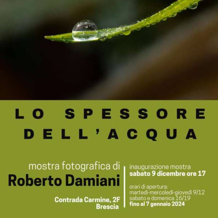 lo spessore dell'acqua :: fotografie di Roberto DAMIANI