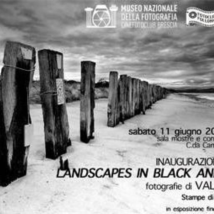 LANDSCAPES IN BLACK AND WHITE :: VALERIO MUSI 