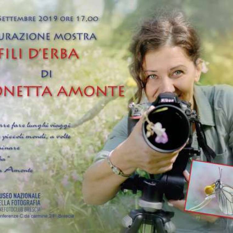 Tra fili d'erba :: Simonetta Amonte