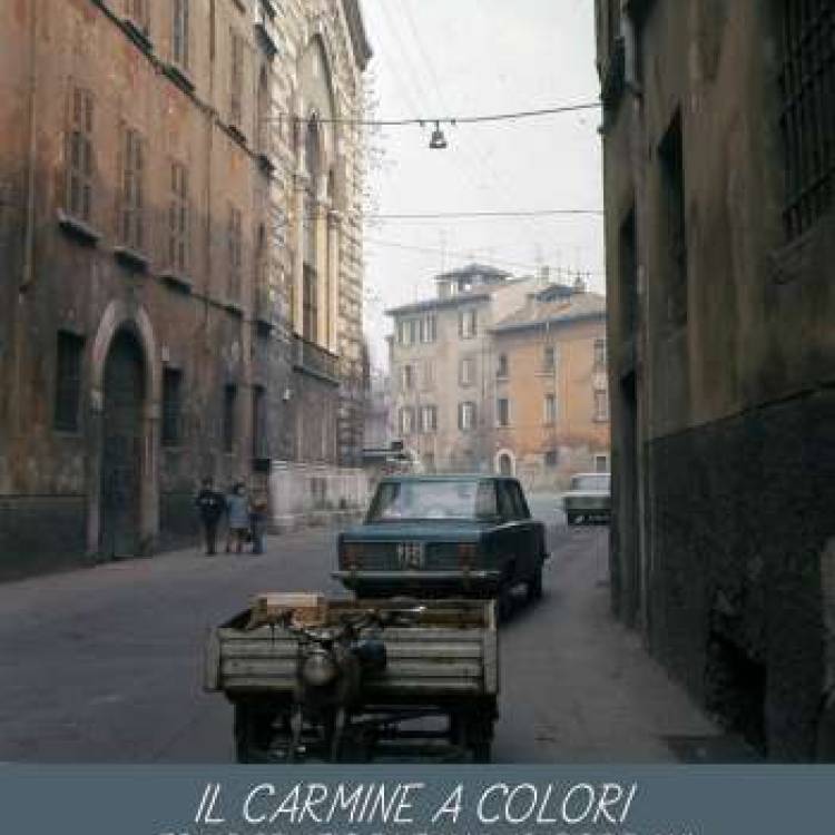 IL CARMINE A COLORI  di Fausto BORRANI 