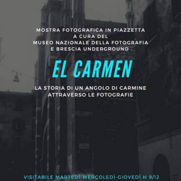 Mostre :: EL CARMEN