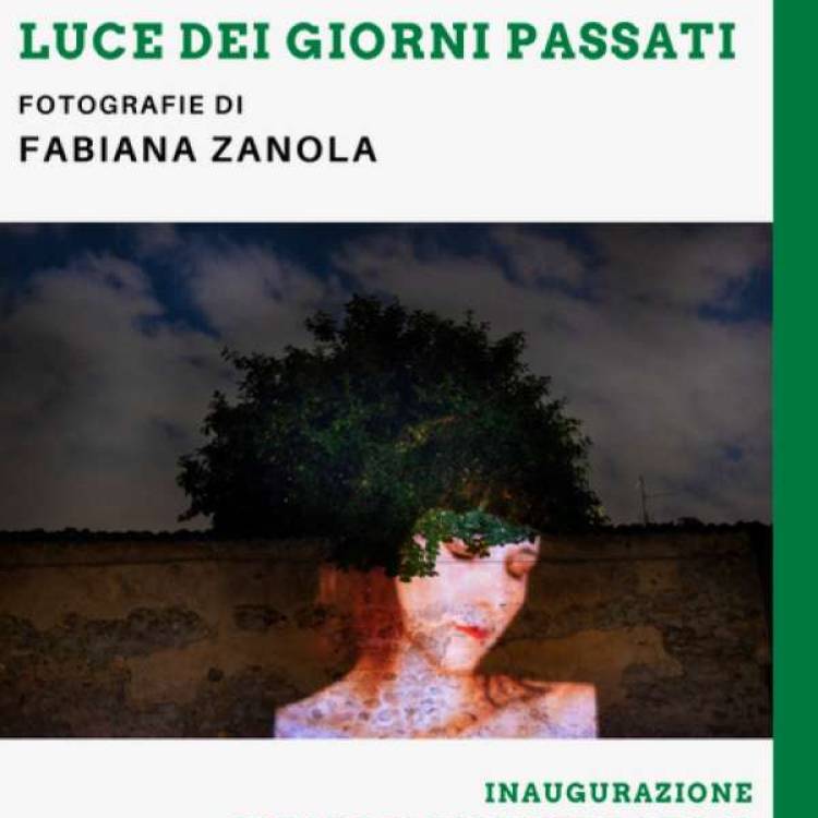 Mostre dicembre: FABIANA ZANOLA,  MICHELA GHIDINI E ROBERTO ROMAGNOSI e altri