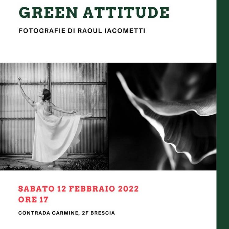 RAOUL IACOMETTI :: GREEN ATTITUDE